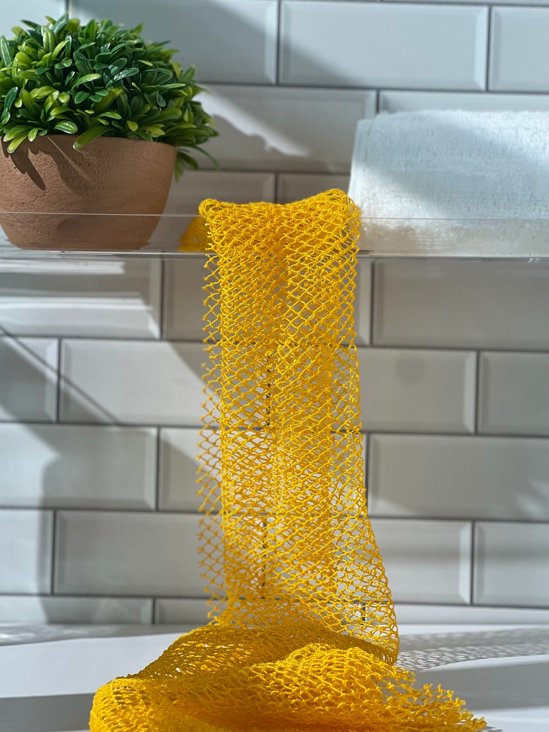 African Net Sponge (Sapo)